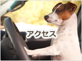 アクセス