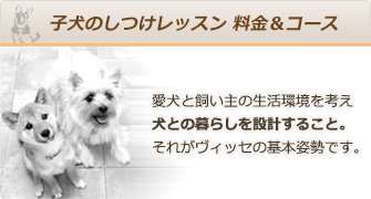 子犬のしつけレッスン 料金&コース