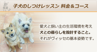 子犬のしつけレッスン 料金&コース