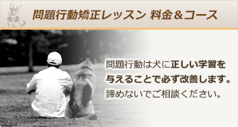 問題行動矯正レッスン 料金&コース