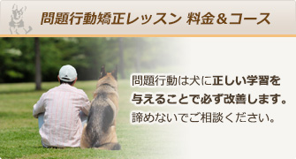 問題行動矯正レッスン 料金&コース