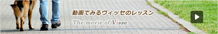 動画でみるヴィッセのレッスン