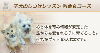 子犬のしつけレッスン 料金&コース