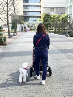 himari.jpgのｻﾑﾈｲﾙ画像のｻﾑﾈｲﾙ画像