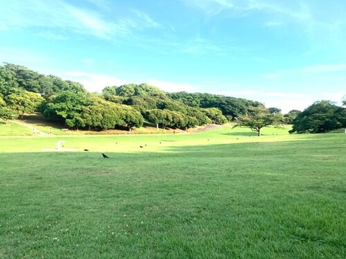 根岸森林公園.jpgのサムネイル画像