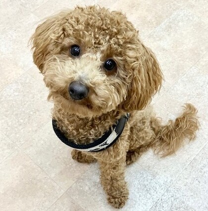 空彩.jpgのサムネイル画像