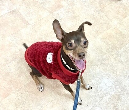 ルカ.jpgのサムネイル画像のサムネイル画像