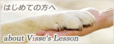 はじめての方へ about Visse's Lesson