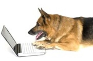 問題行動.jpgのサムネイル画像のサムネイル画像のサムネイル画像のサムネイル画像