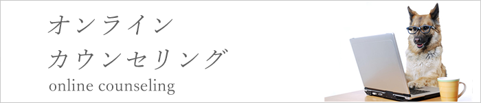 visseオンラインカウンセリングバナー.png