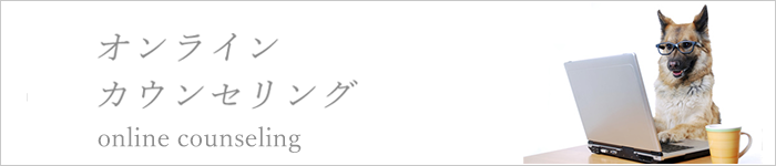 visseオンラインカウンセリングバナー